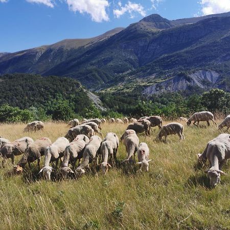 La Peyregoune, Logement En Pleine Nature Et Table D'Hotes Blieux Zewnętrze zdjęcie